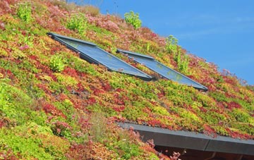 Glazebury living roof systems